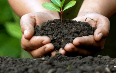 Year Zero: Embracing Growth and Patience