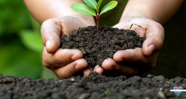 Year Zero: Embracing Growth and Patience