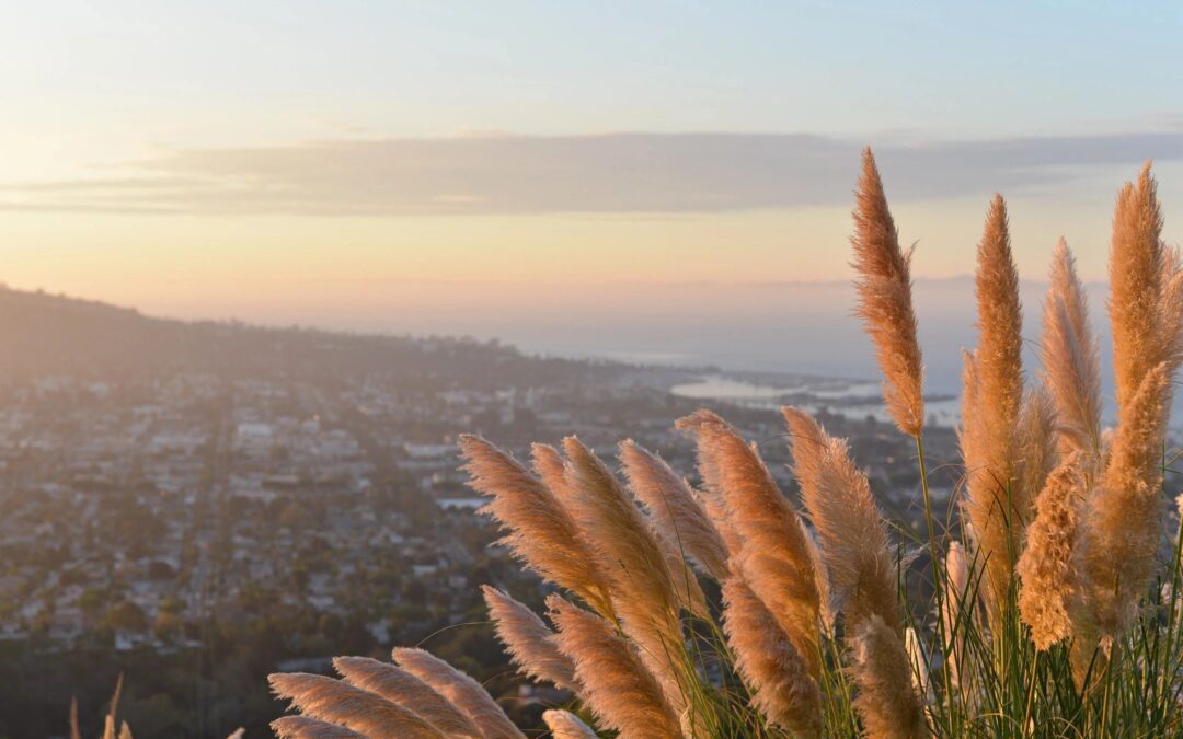 Be’Cause: The Joseph Center. The homeless are our honored guests.