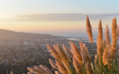 Be’Cause: The Joseph Center. The homeless are our honored guests.