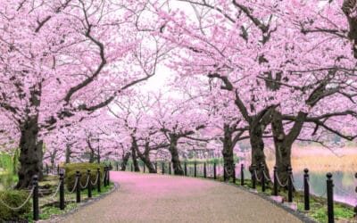 What Stage of Change Are You In?