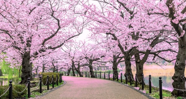 What Stage of Change Are You In?